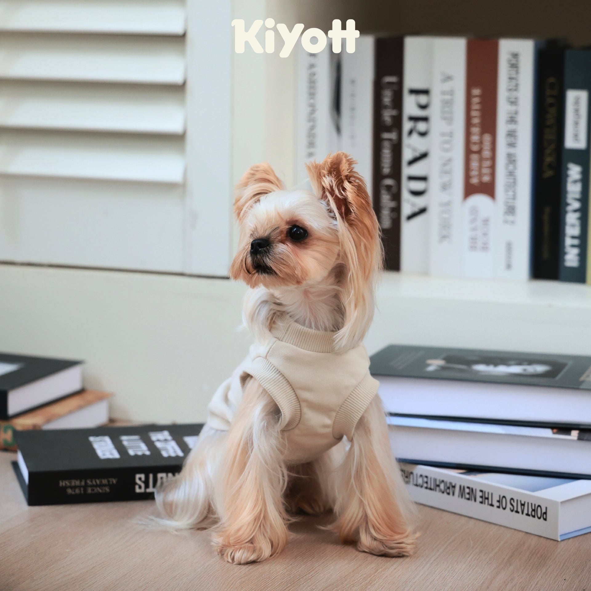 Winter Premiere Sweatshirt