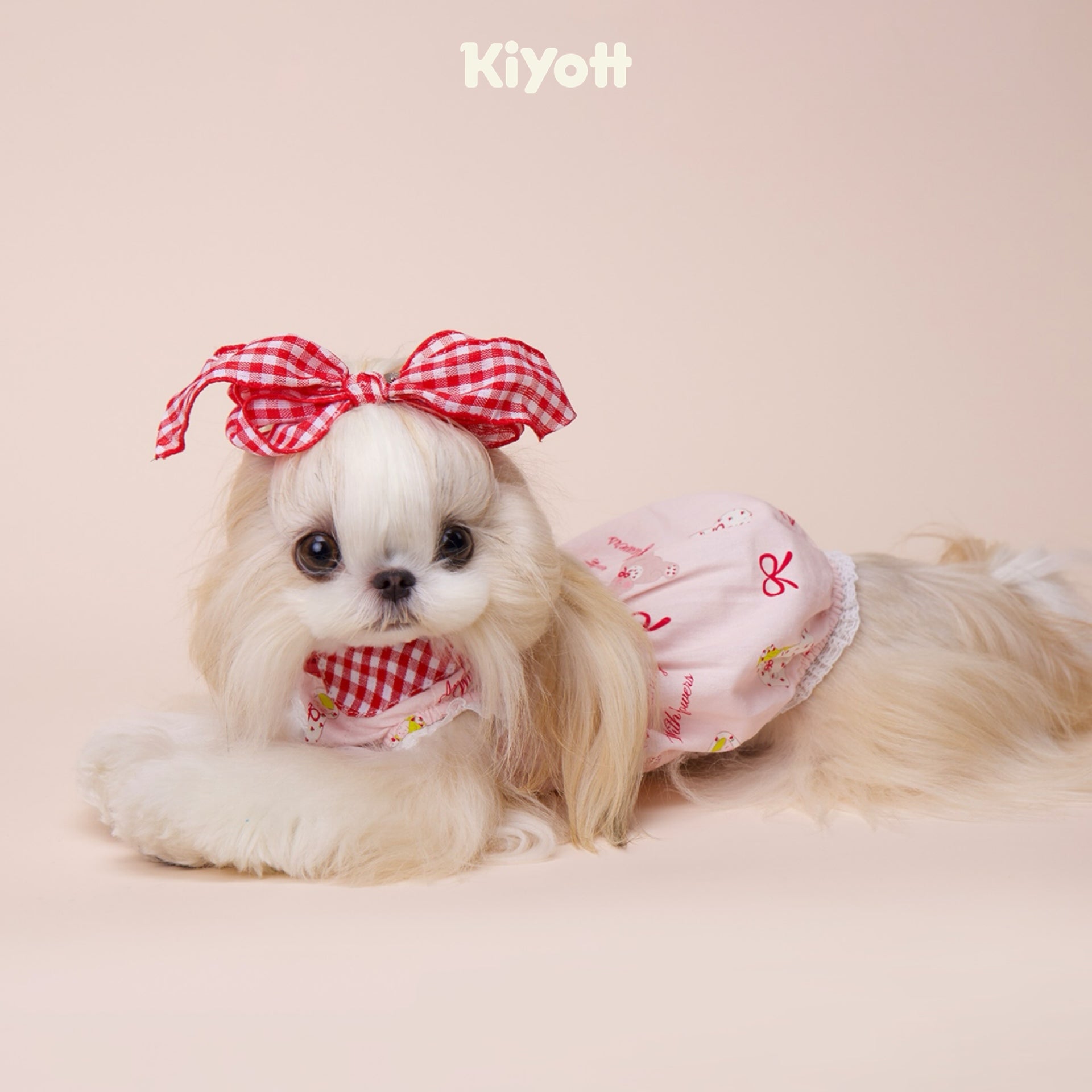 Aurora Princess Shirt