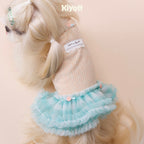 Orange Soda Tulle Dress