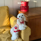 Tomato & Egg Pet Dress