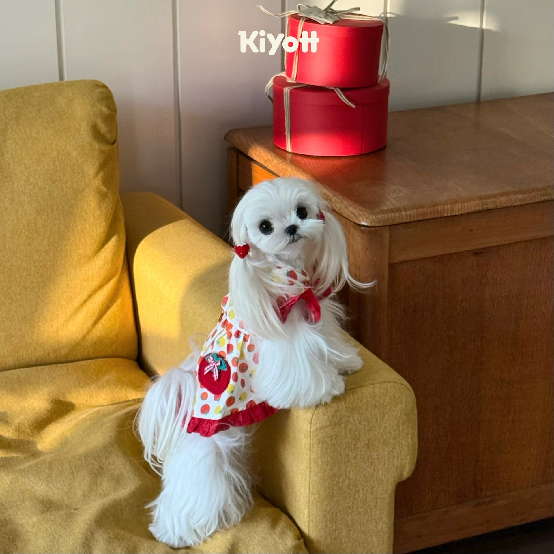 Tomato & Egg Pet Dress