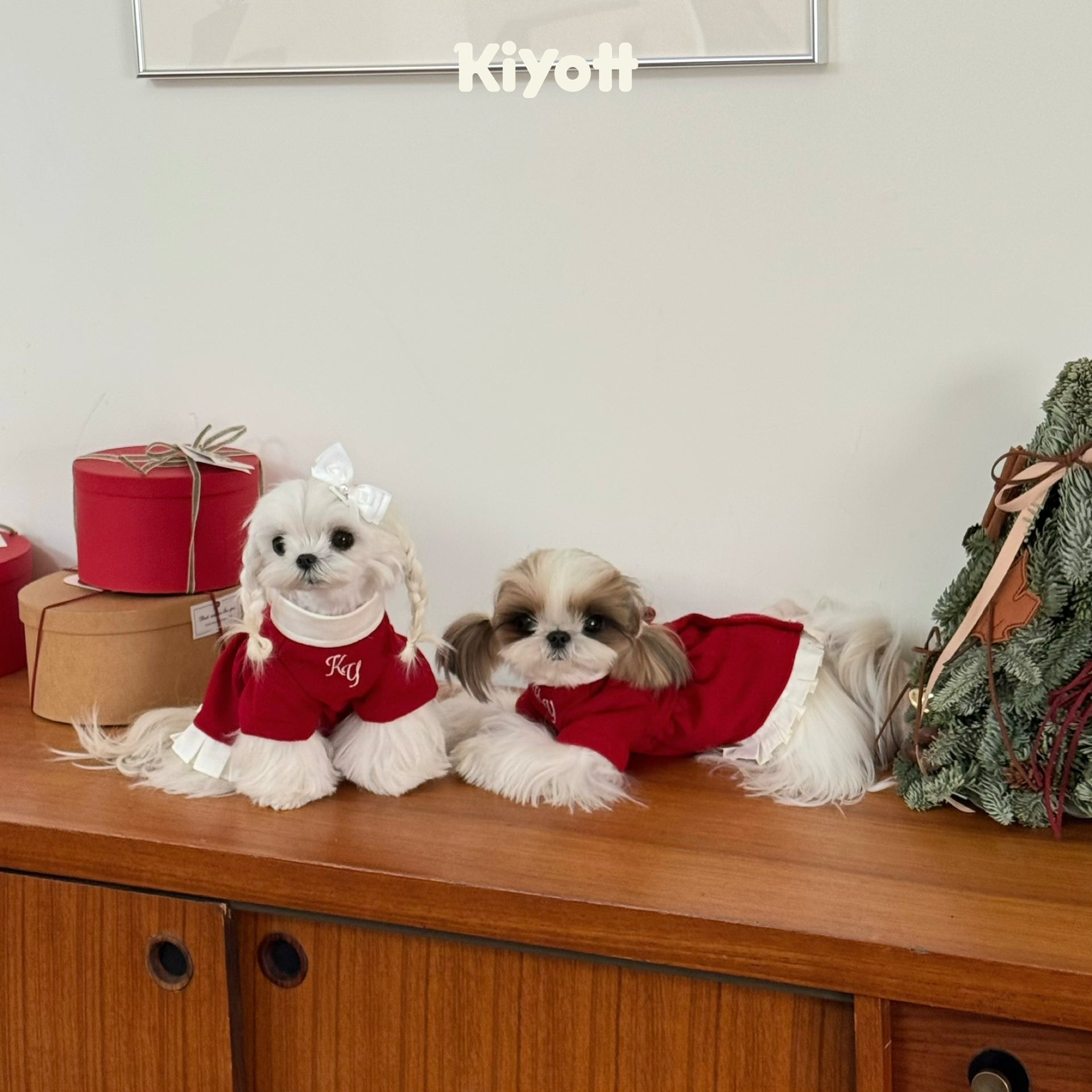 Are You Blushing? Red Coat