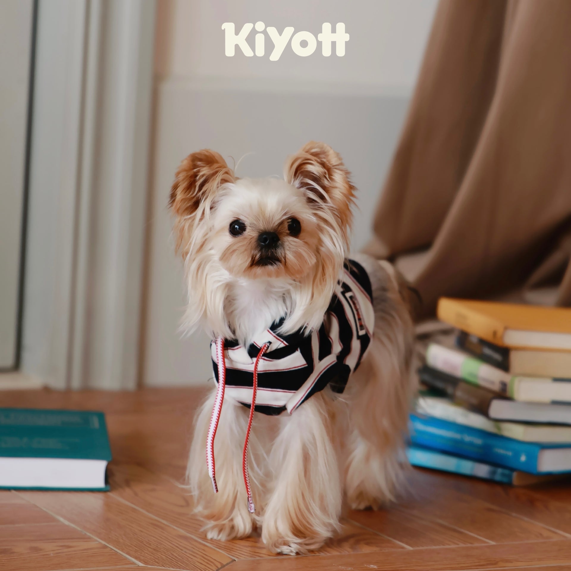 Hello I Have a Hoodie