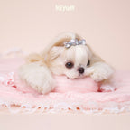 Candy Sleep Pad and Pillow