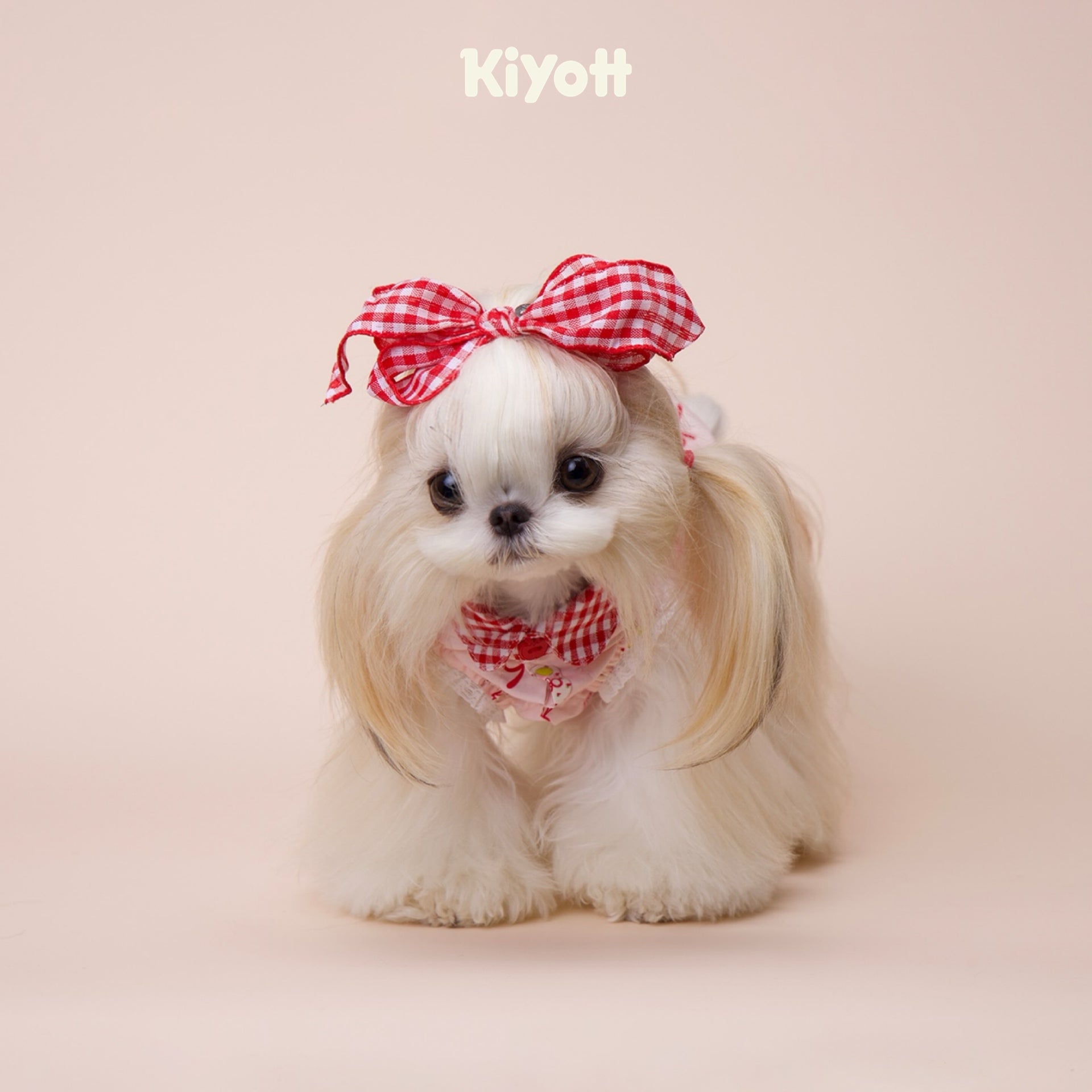 Aurora Princess Shirt