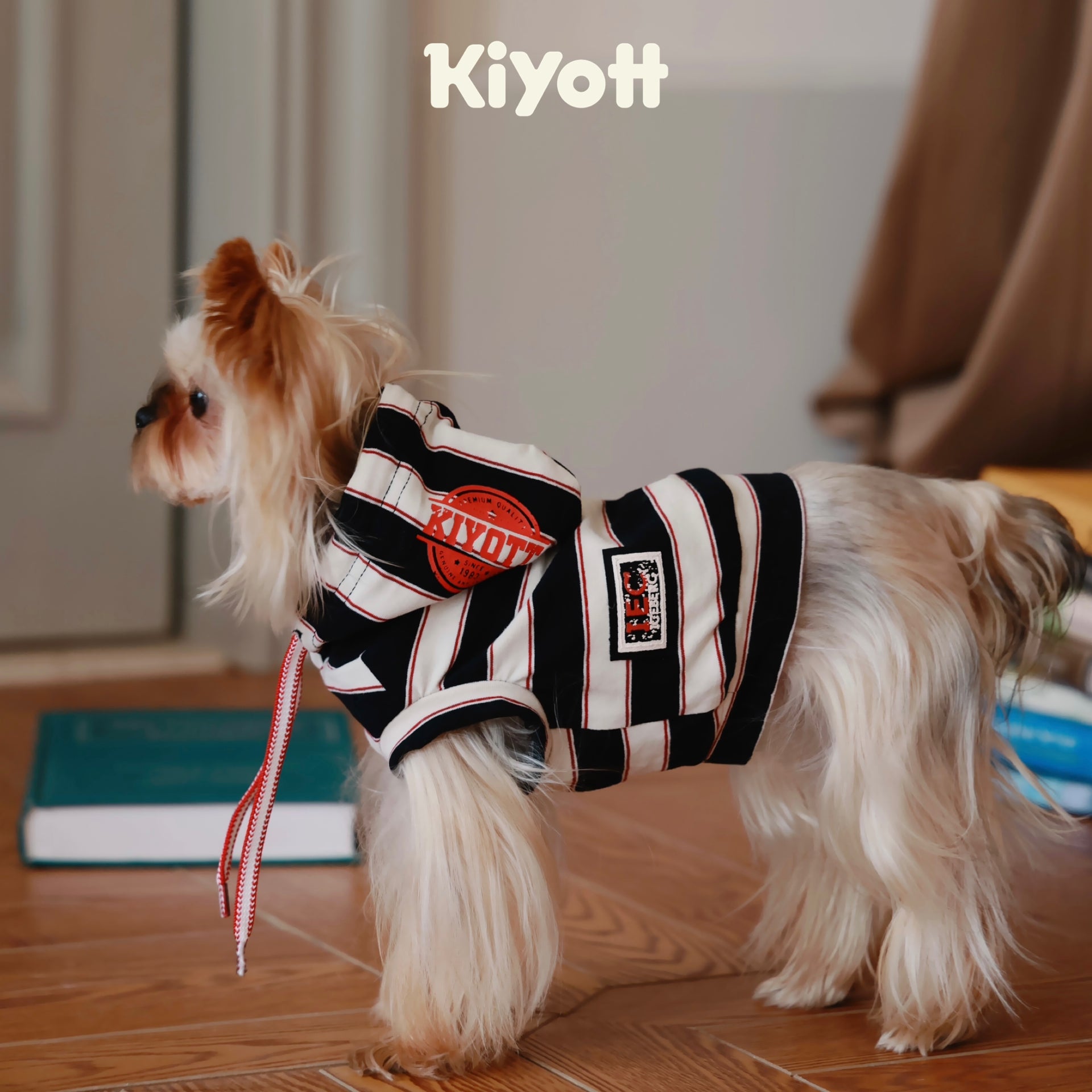 Hello I Have a Hoodie