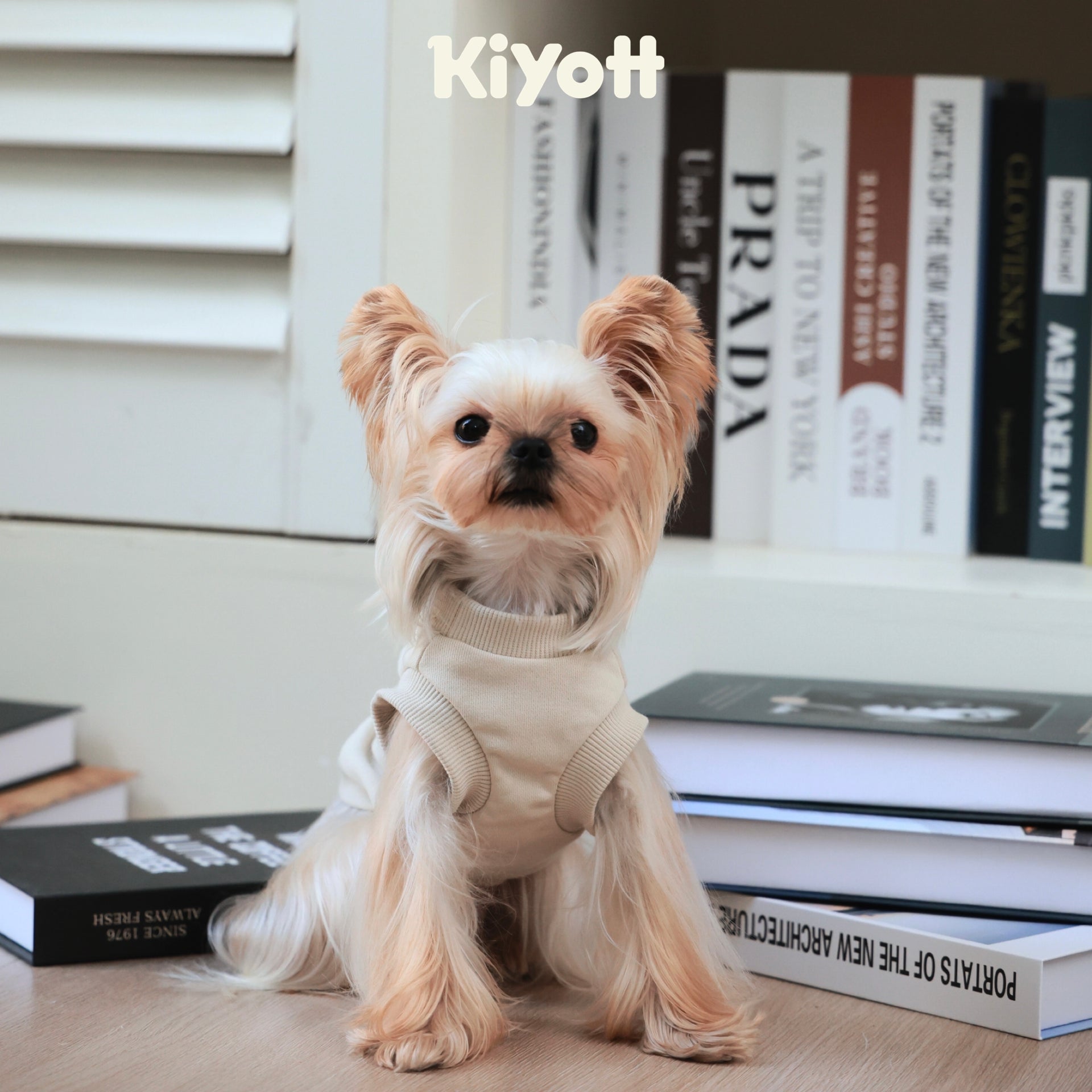 Winter Premiere Sweatshirt