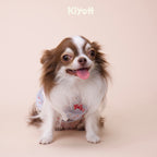 ブルーチューンモーメント