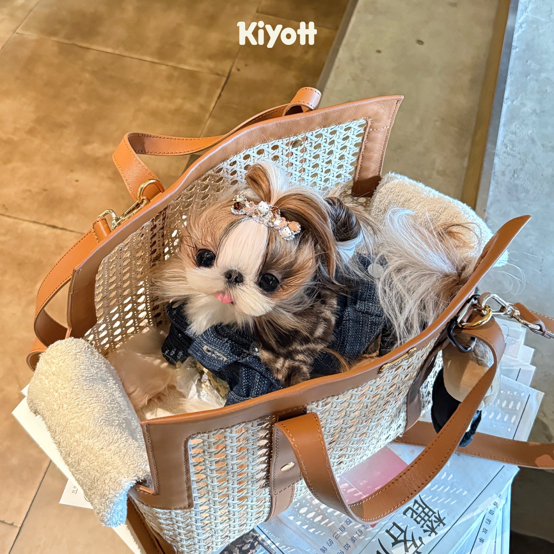 Leopard Print Denim Jacket