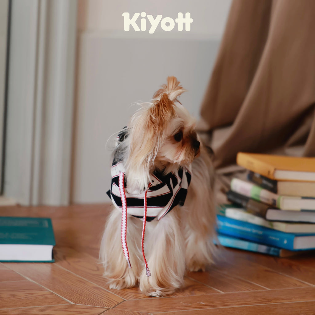 Hello I Have a Hoodie