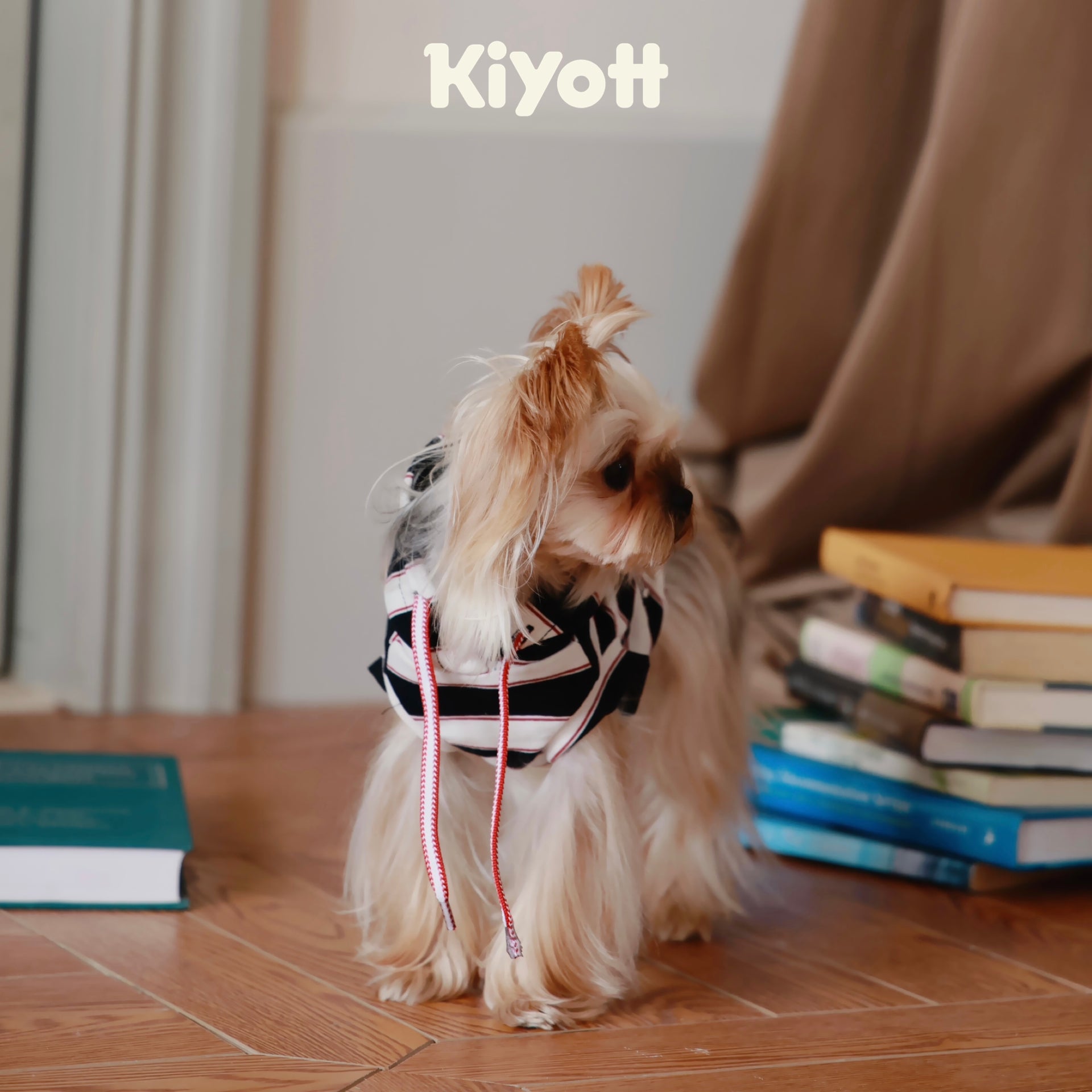 Hello I Have a Hoodie