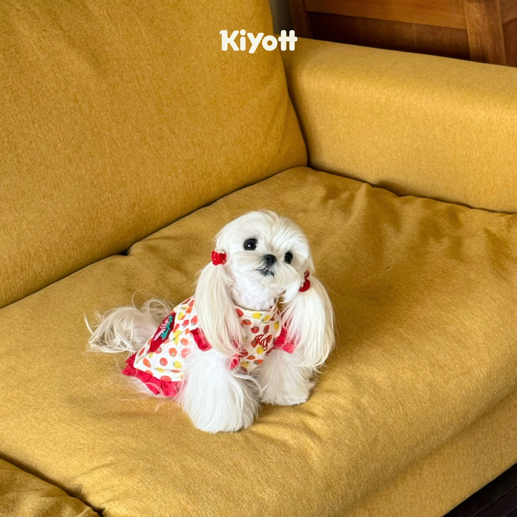 Tomato & Egg Pet Dress