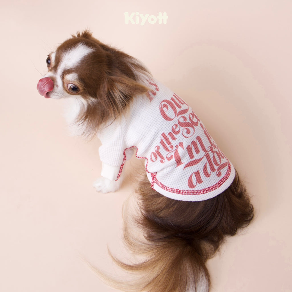 カリフォルニアサンシャインワッフルTシャツ