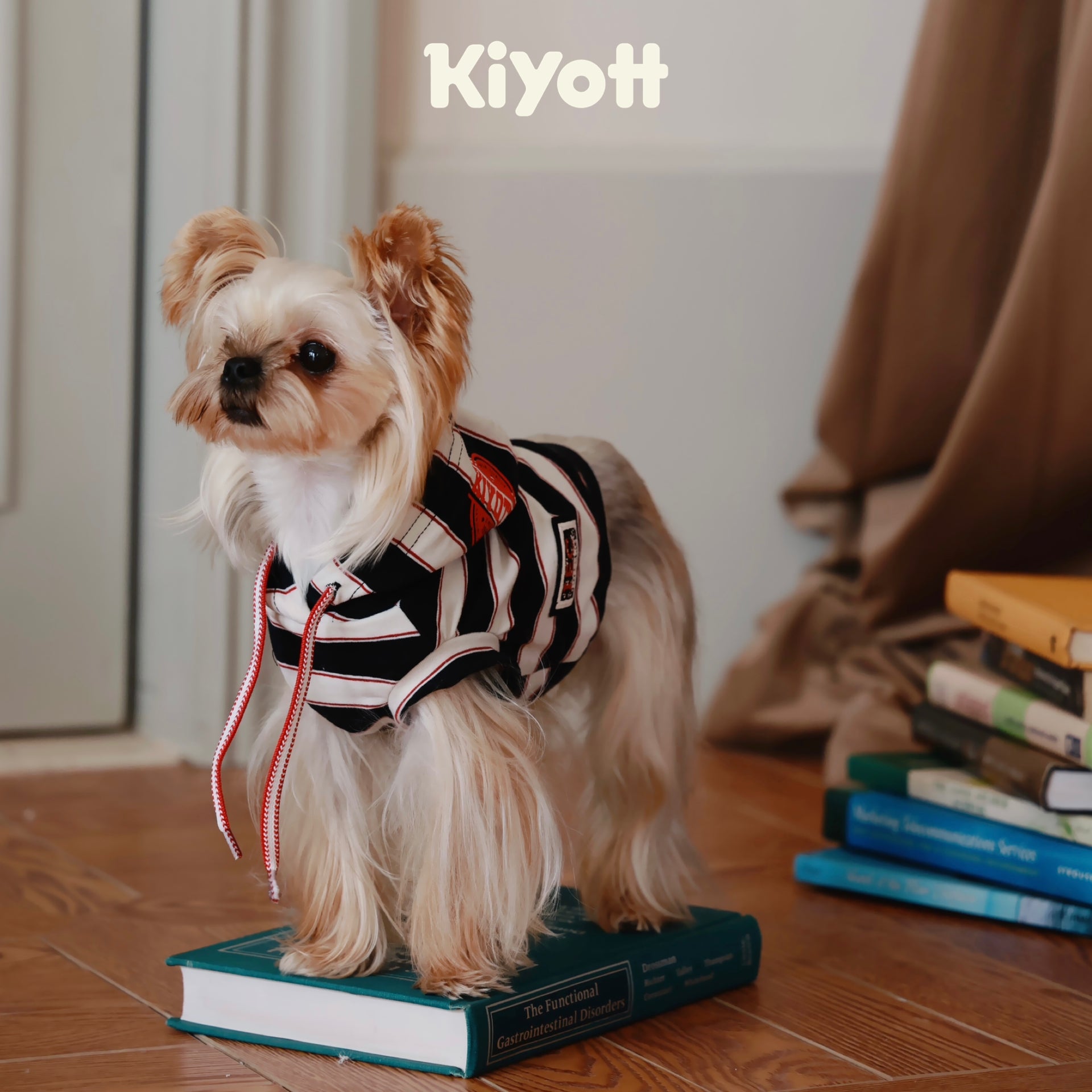 Hello I Have a Hoodie