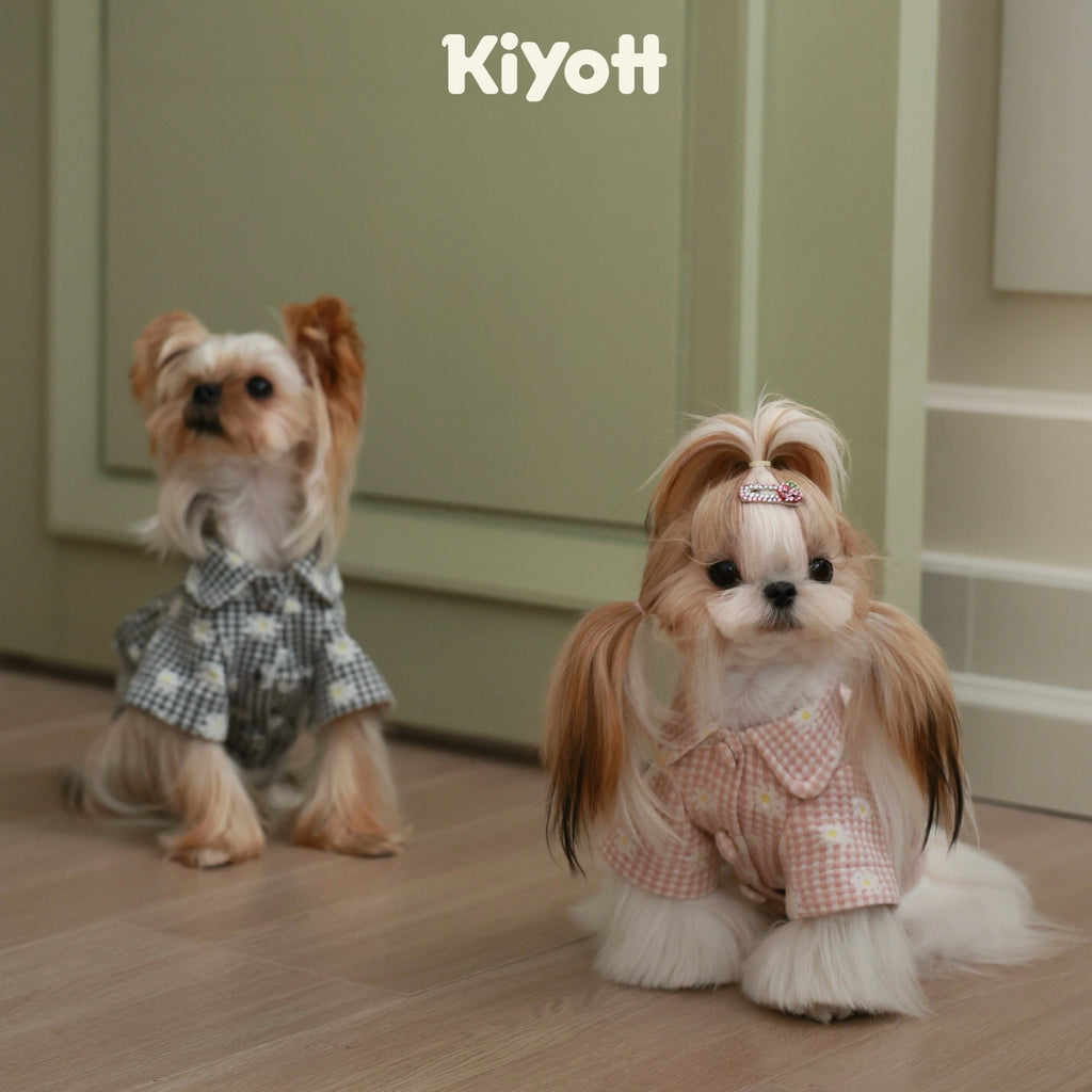 デイジーコート