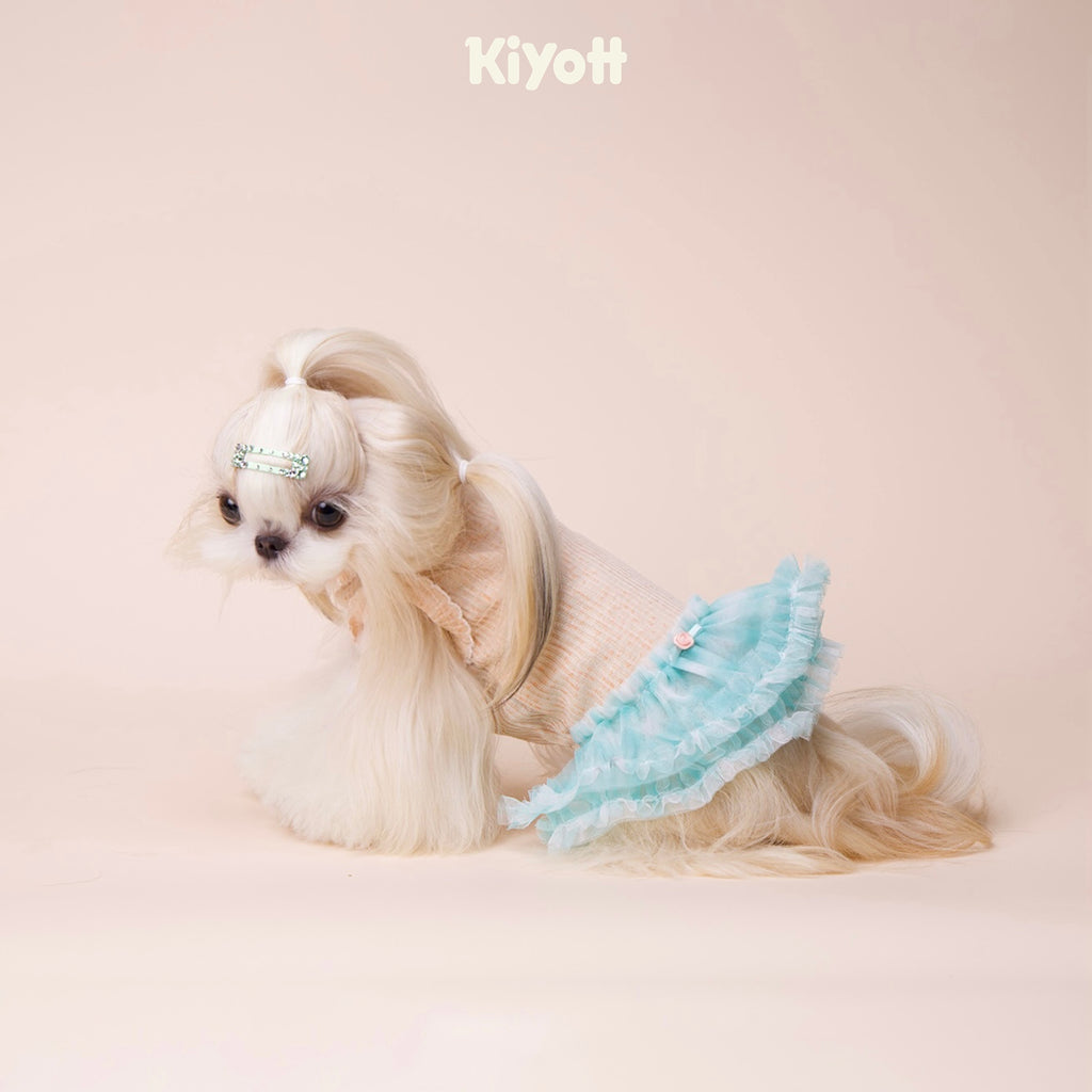 Orange Soda Tulle Dress