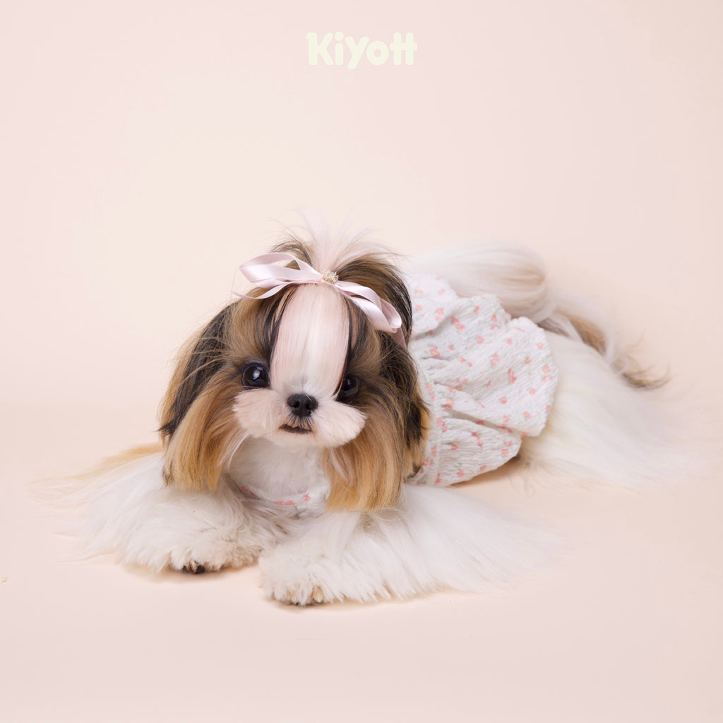 Korean Bubble Crepe Pumpkin Dress