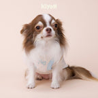 Polka Dot Elephant Loungewear