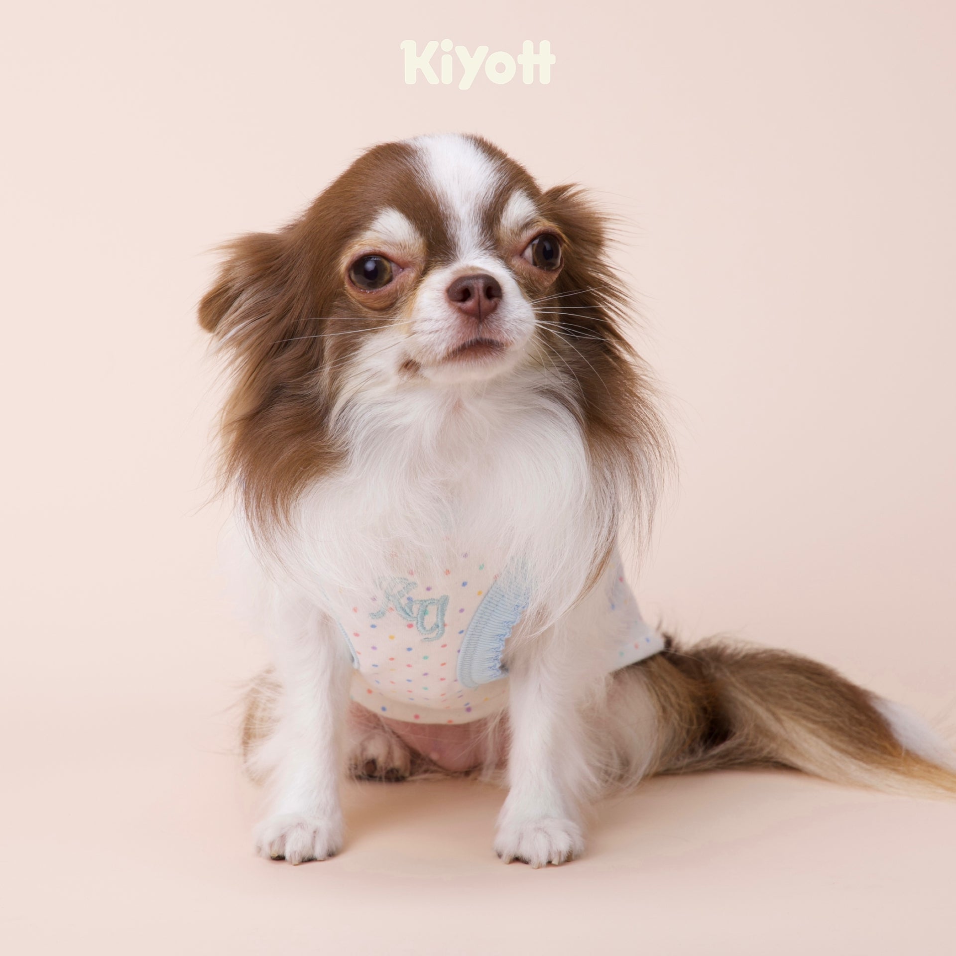 Polka Dot Elephant Loungewear