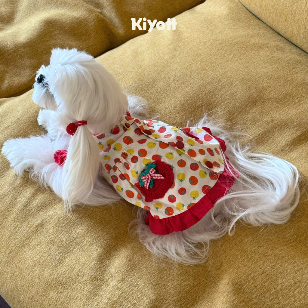 Tomato & Egg Pet Dress