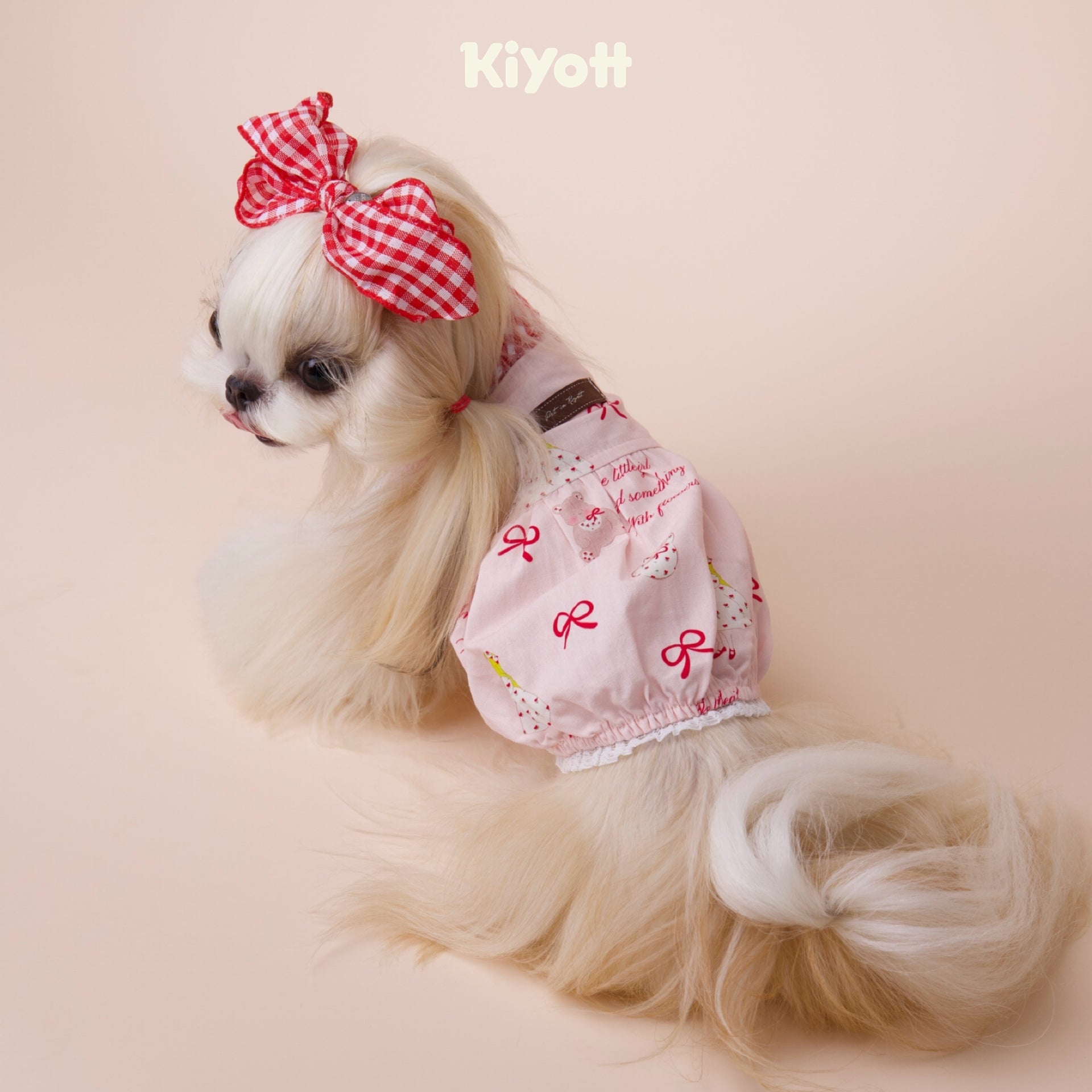 Aurora Princess Shirt