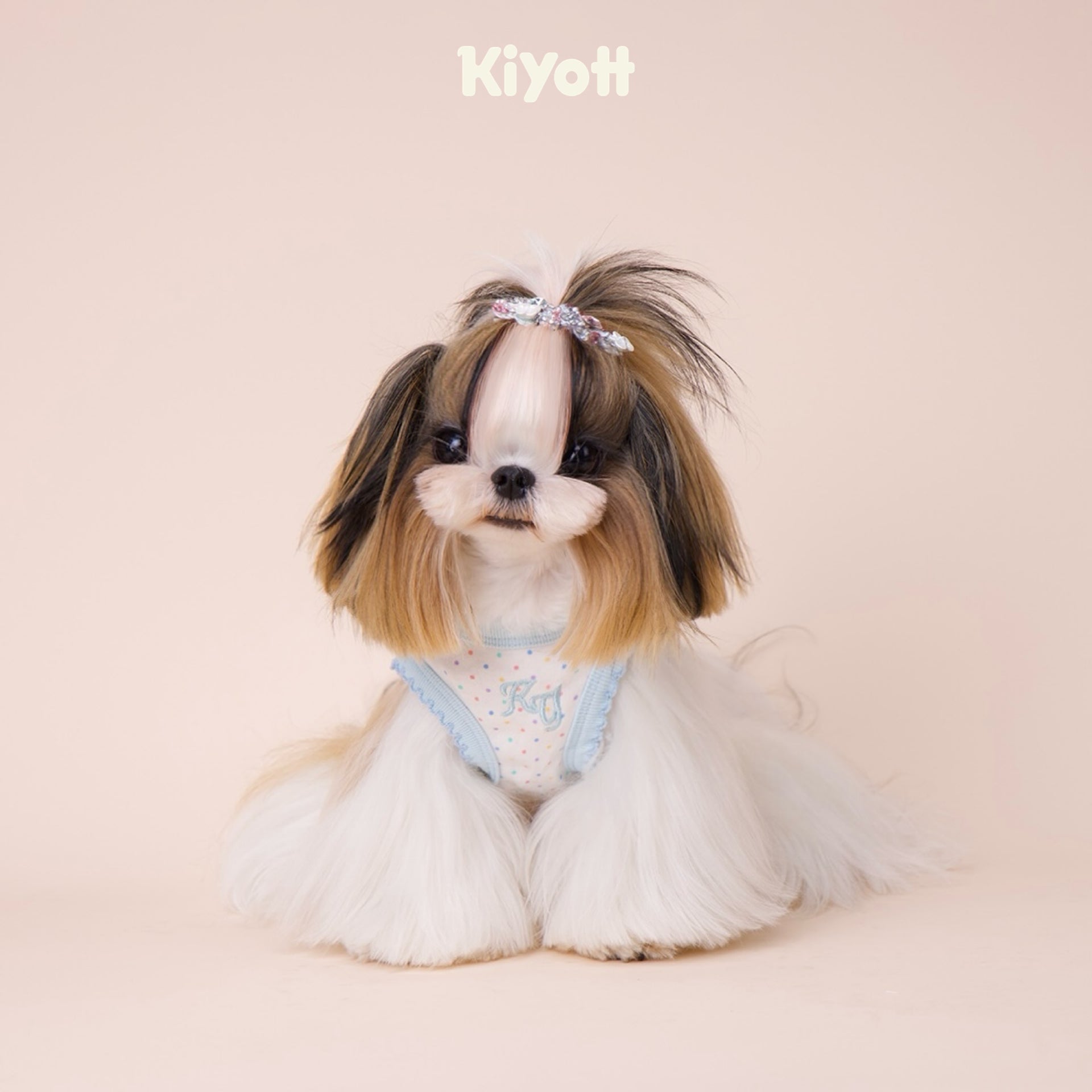 Polka Dot Elephant Loungewear