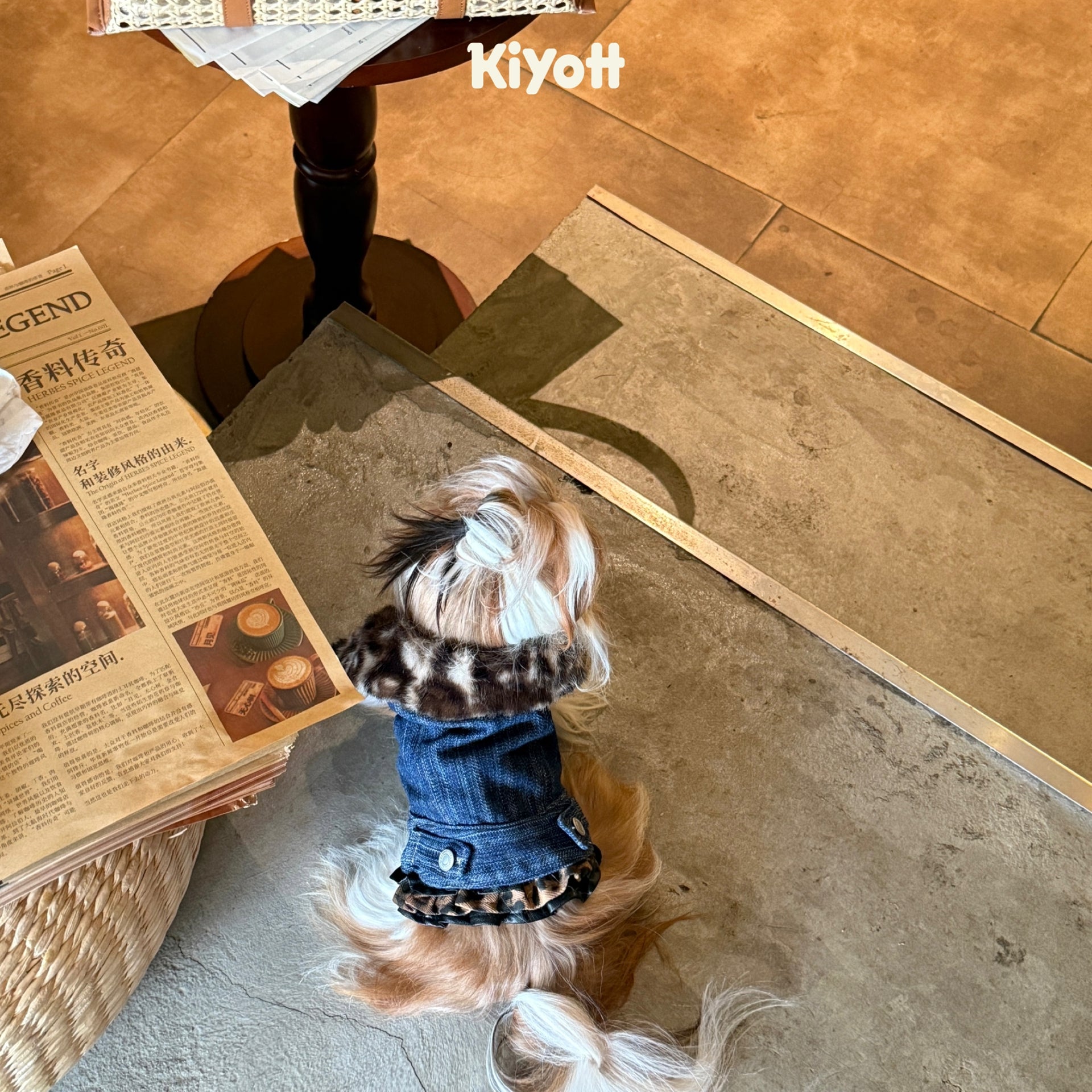 Leopard Print Denim Jacket