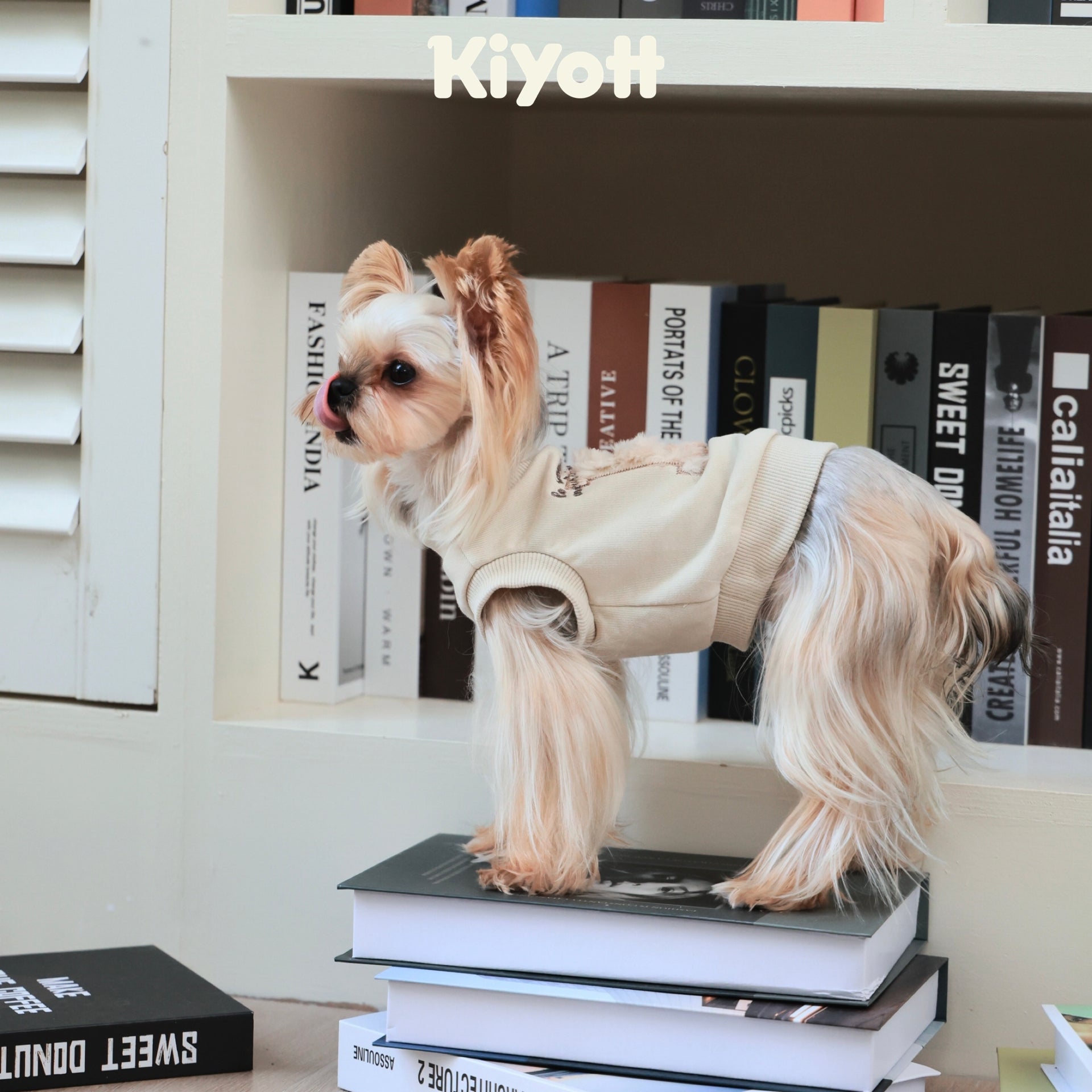 Winter Premiere Sweatshirt