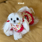 Tomato & Egg Pet Dress