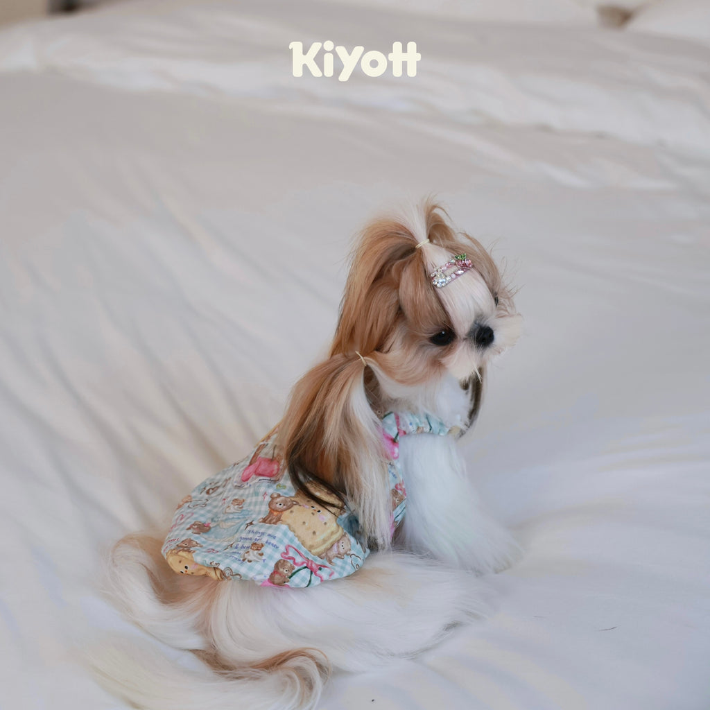 Cookie Biscuit Pumpkin Dress