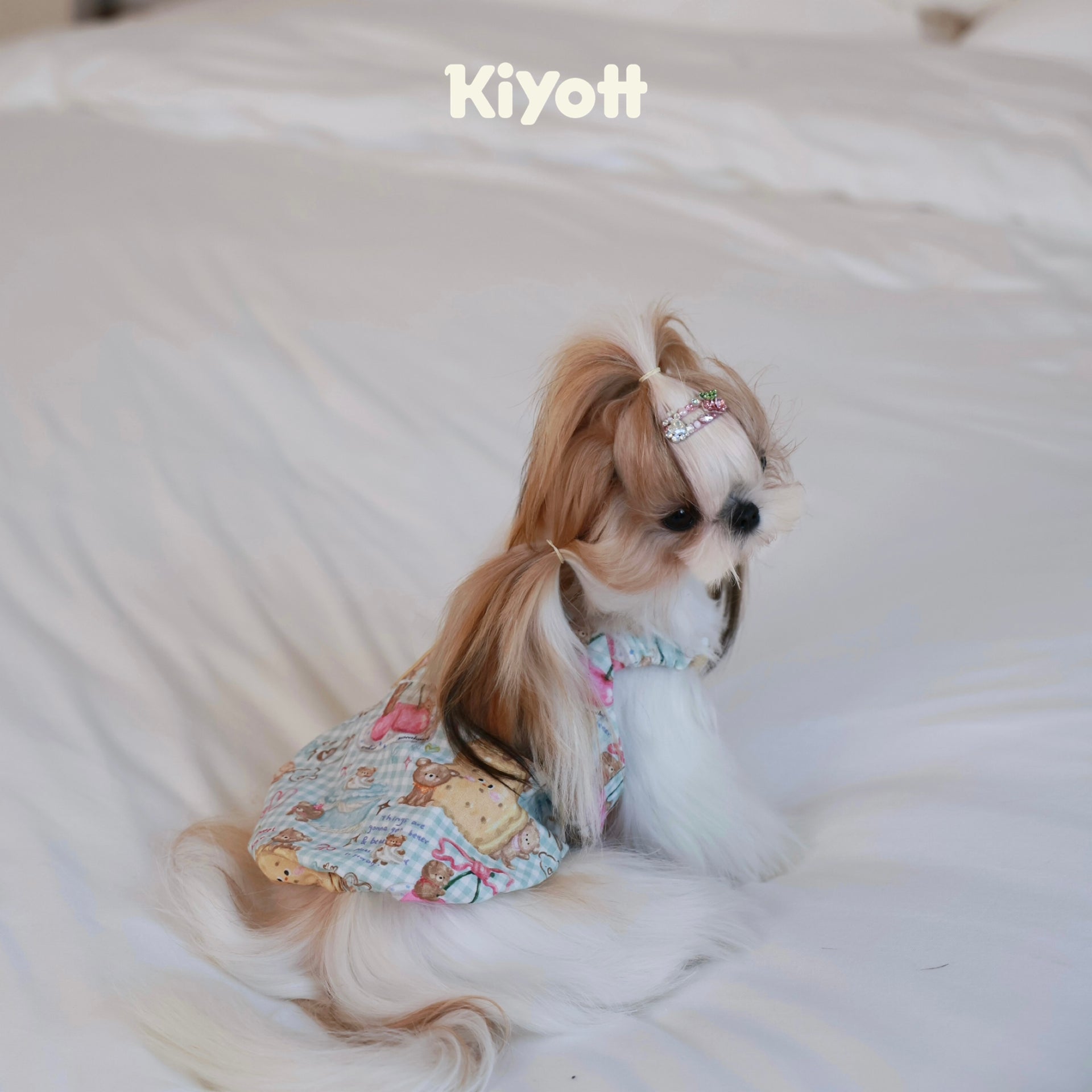 Cookie Biscuit Pumpkin Dress