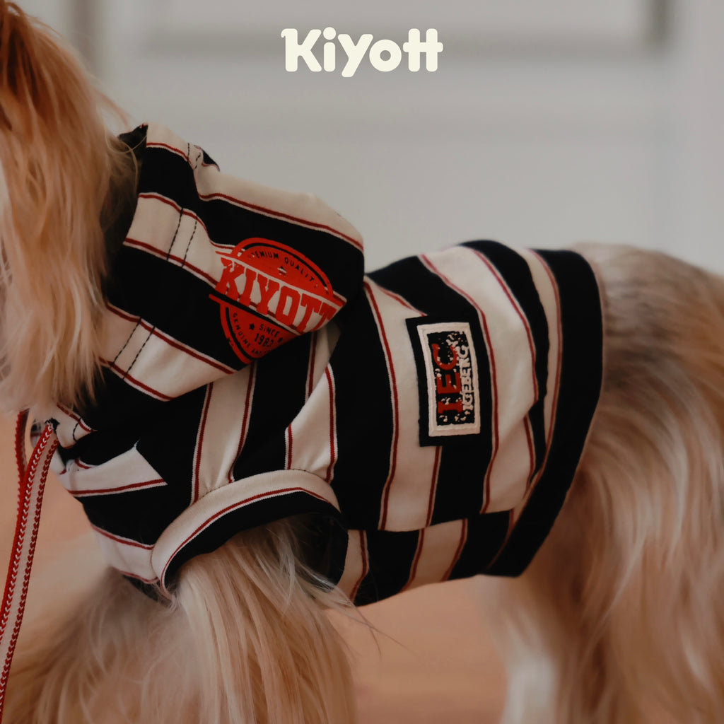 Hello I Have a Hoodie