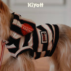 Hello I Have a Hoodie