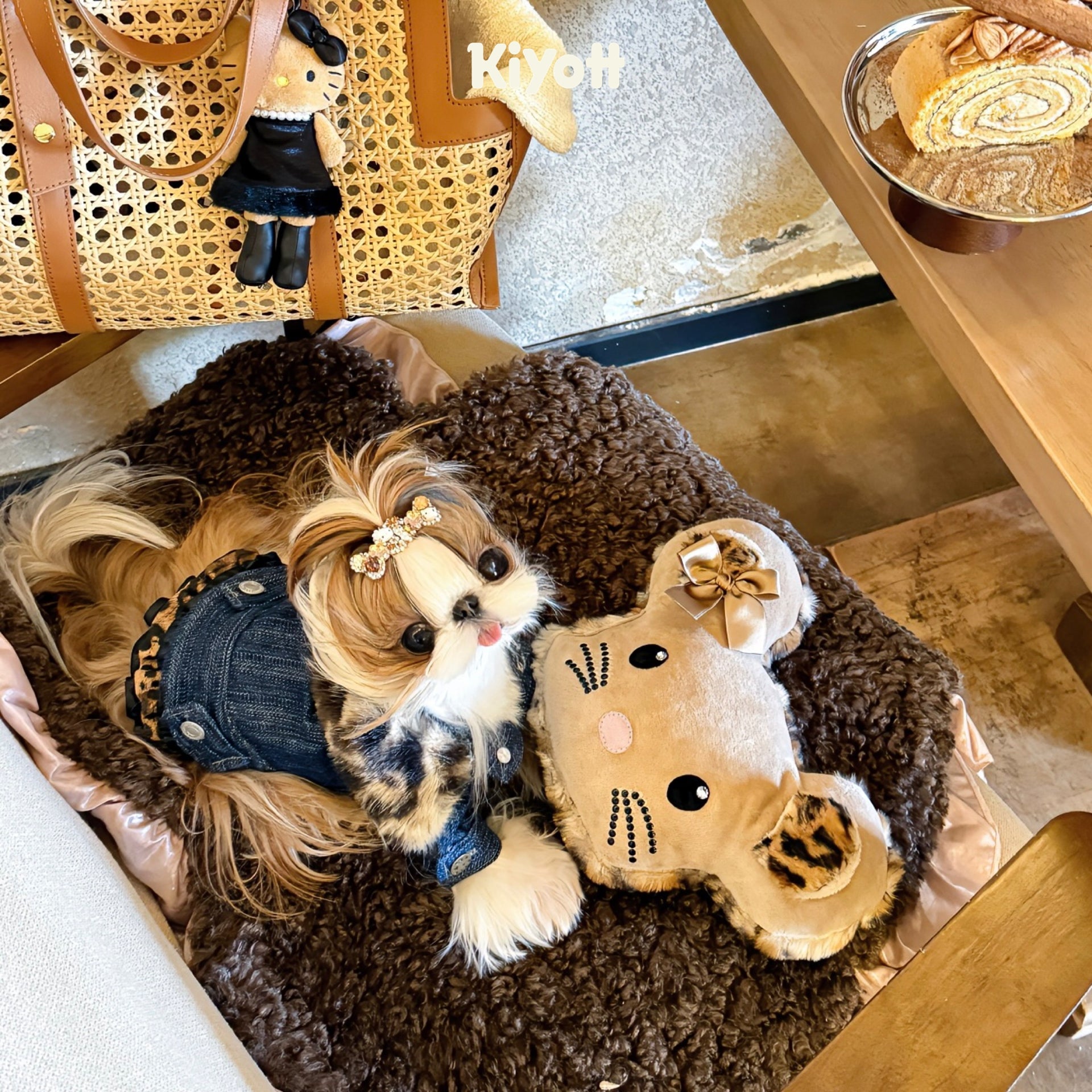 Leopard Print Denim Jacket