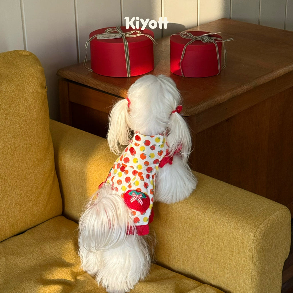 Tomato & Egg Pet Dress