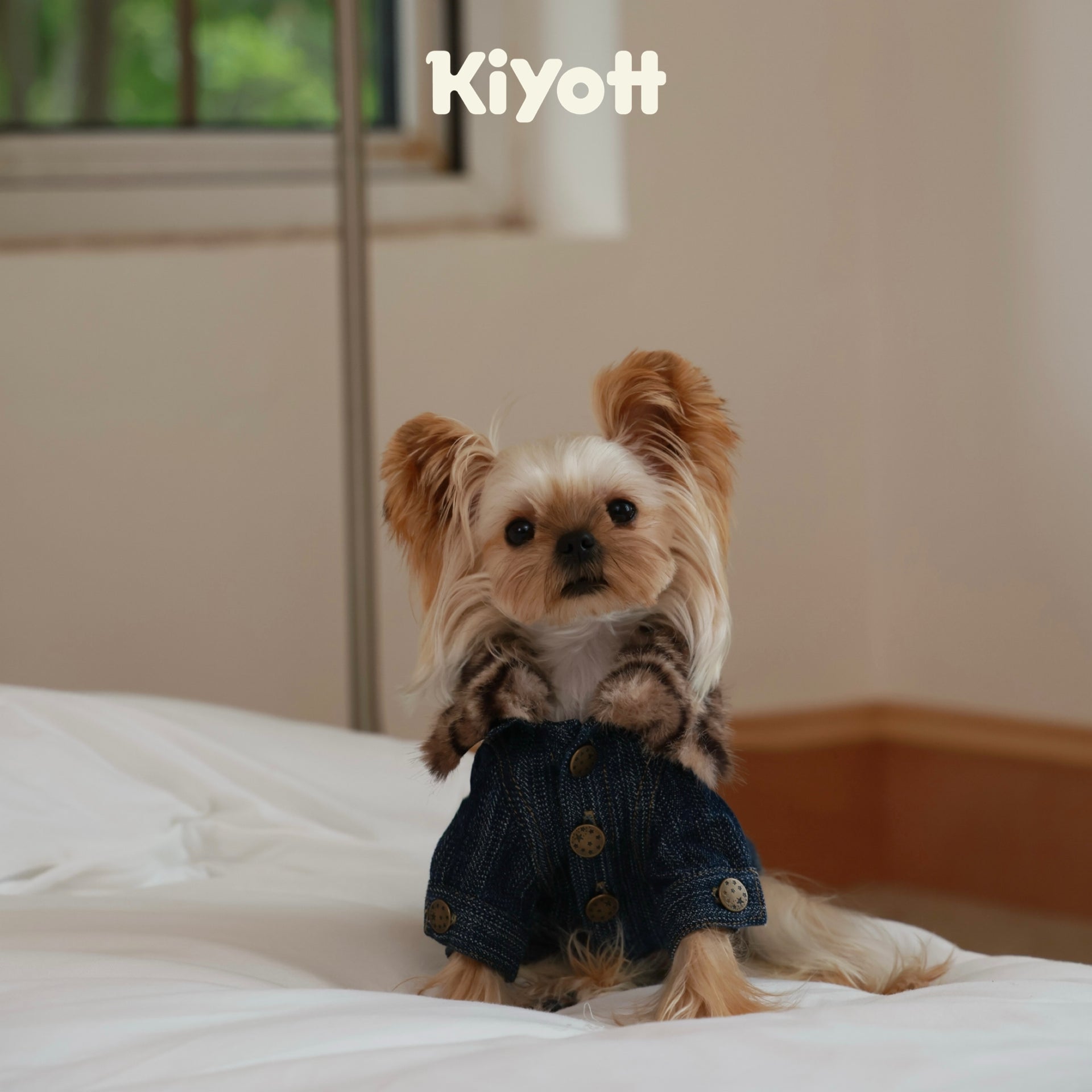 Leopard Print Denim Jacket