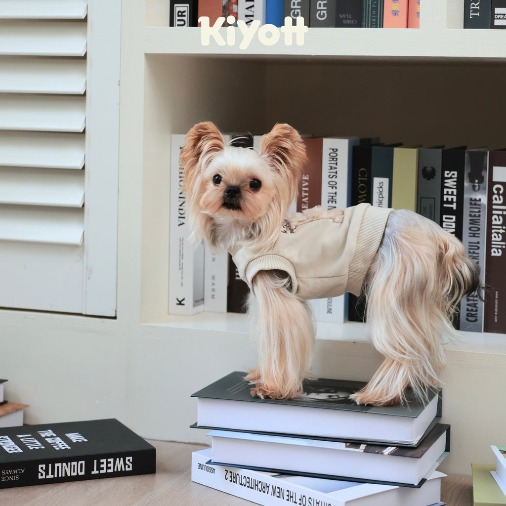 Winter Premiere Sweatshirt