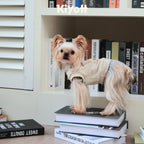 Winter Premiere Sweatshirt