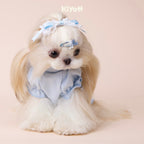 ダンシングバニー