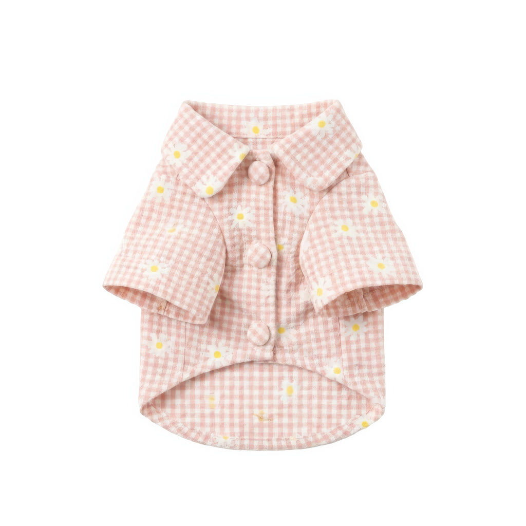 デイジーコート